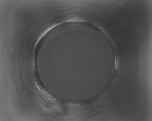 X0000085810531200703161158