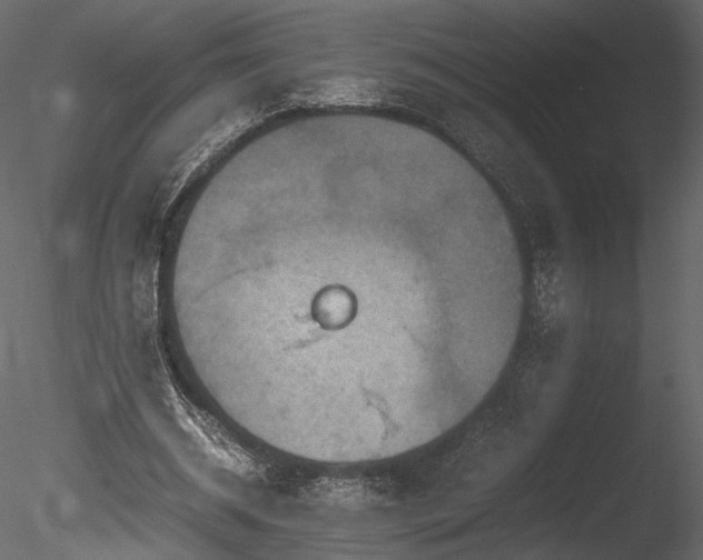 X0000085810534200703161158