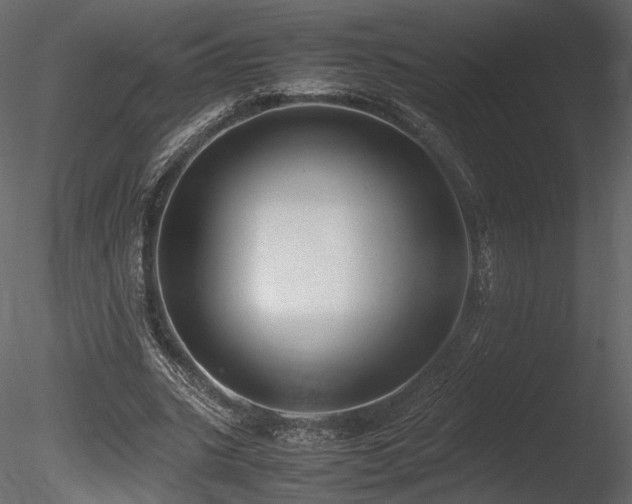 X0000085810535200703161158