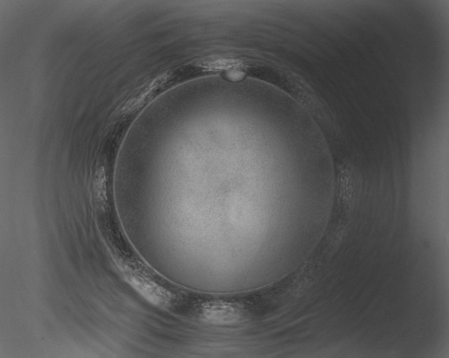 X0000085810549200703161158