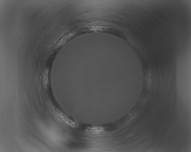 X0000085810554200703161158