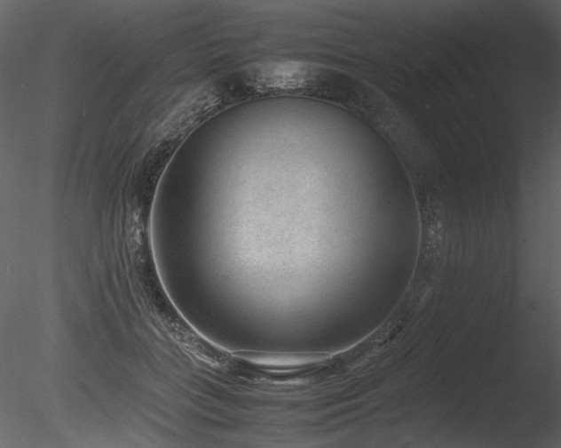 X0000085810555200703161158