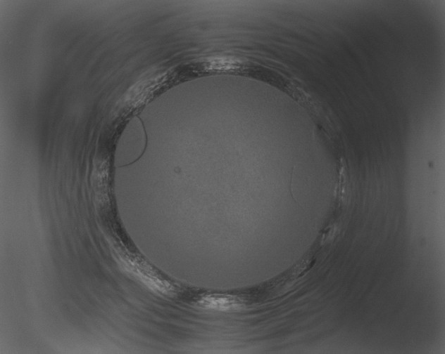 X0000085810557200703161158