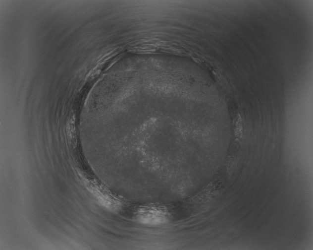 X0000085810559200703161158