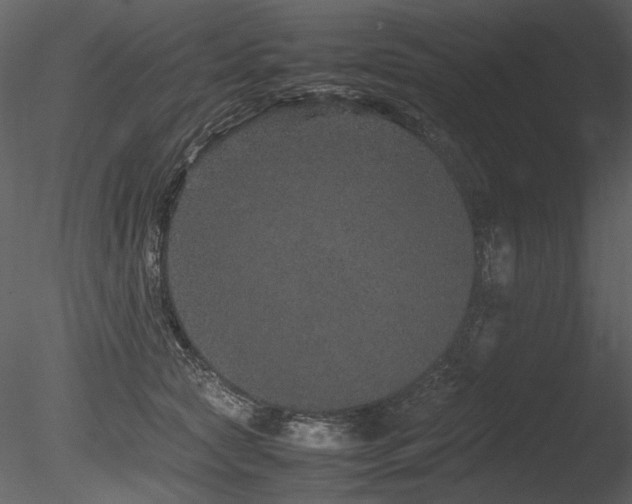 X0000085810561200703161158