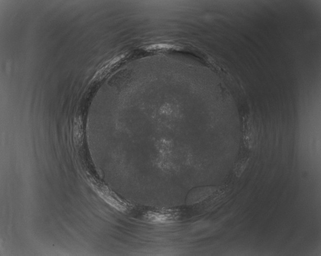 X0000085810563200703161158