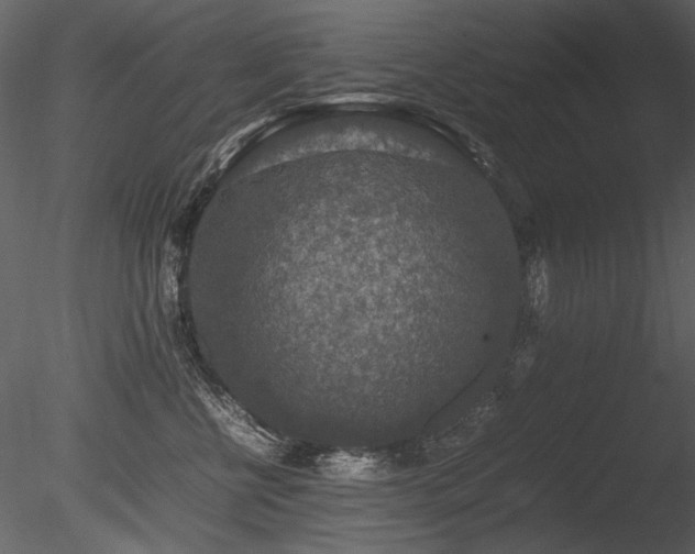 X0000085810570200703161158