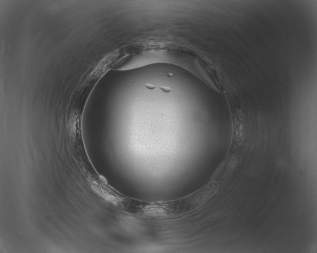 X0000085810574200703161158