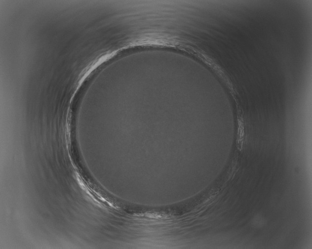 X0000085810580200703161158