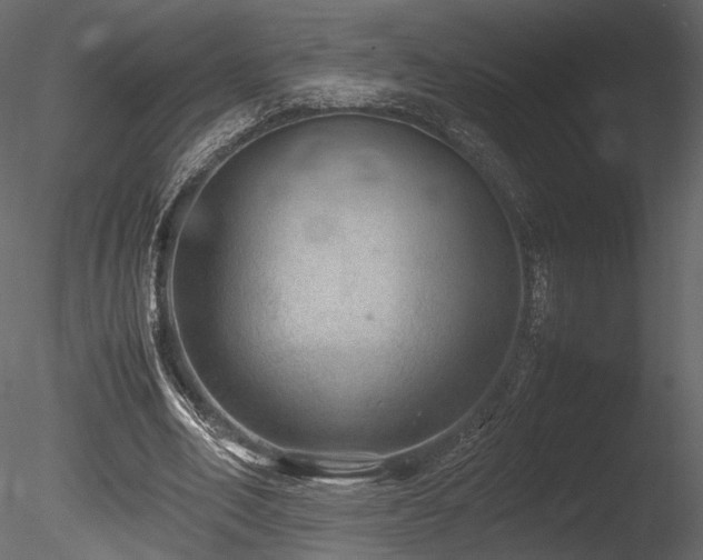 X0000085810582200703161158