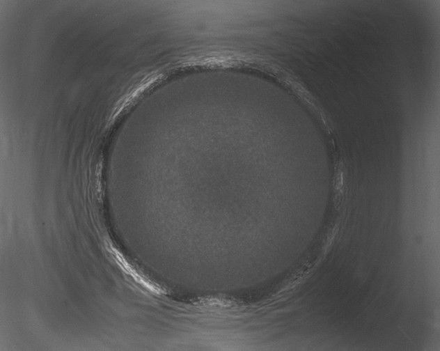 X0000085810585200703161158