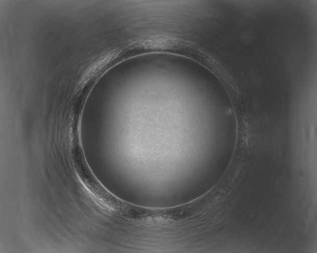 X0000085810586200703161158