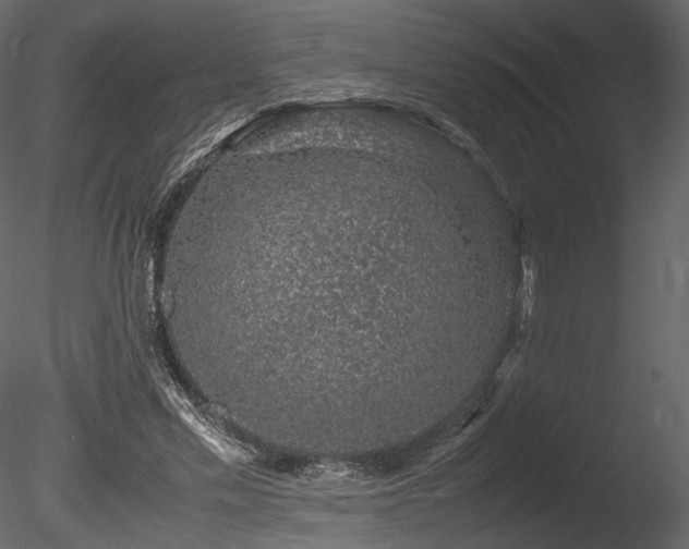 X0000085810589200703161157