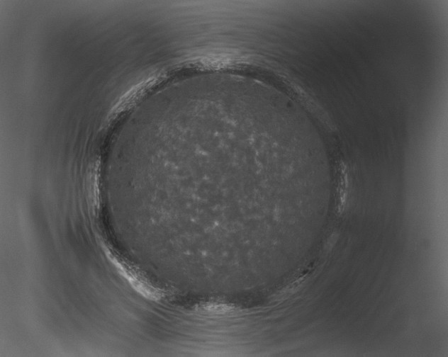 X0000085810590200703161157