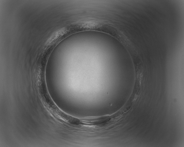 X0000085810591200703161157