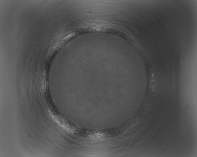 X0000085810594200703161157