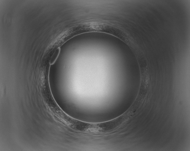 X0000085810595200703161157