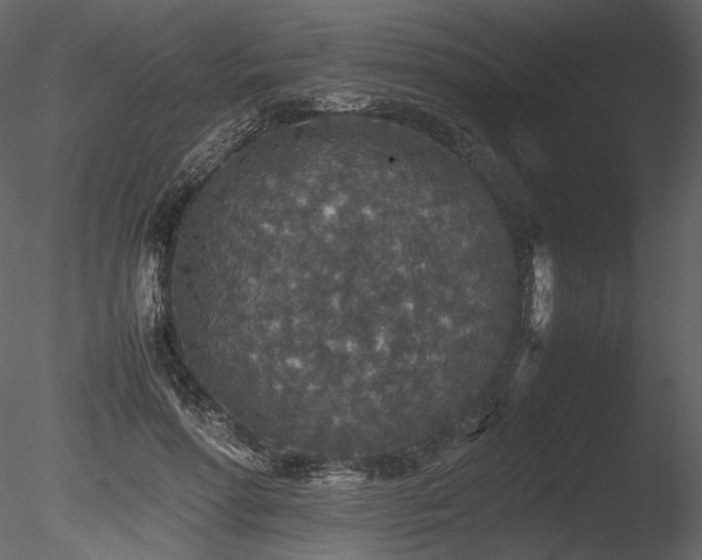 X0000085810598200703161157