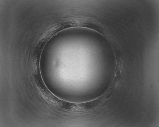 X0000085810599200703161157