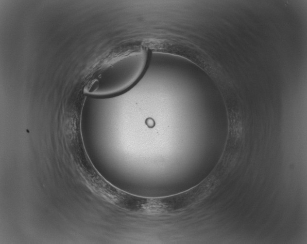 X0000085810603200703161157