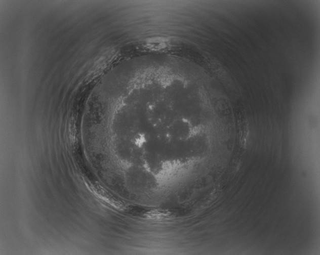 X0000085810606200703161157