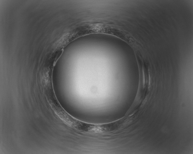 X0000085810611200703161157