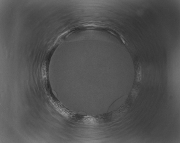 X0000085810620200703161157