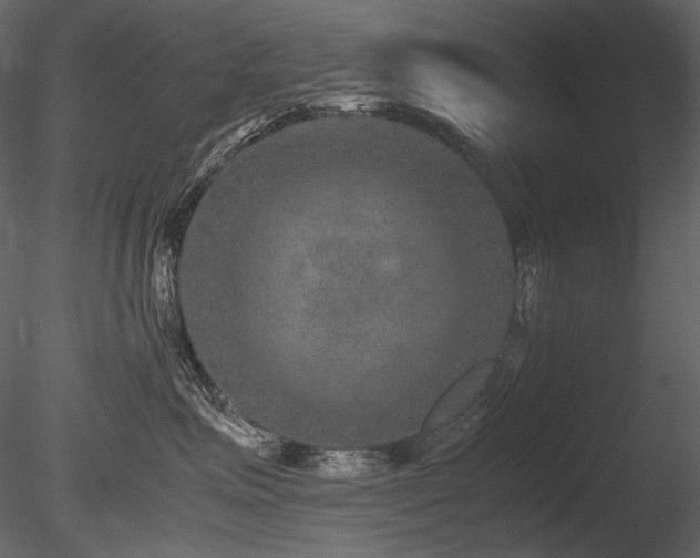 X0000085810623200703161157