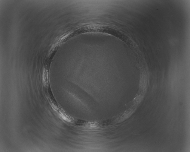 X0000085810624200703161157