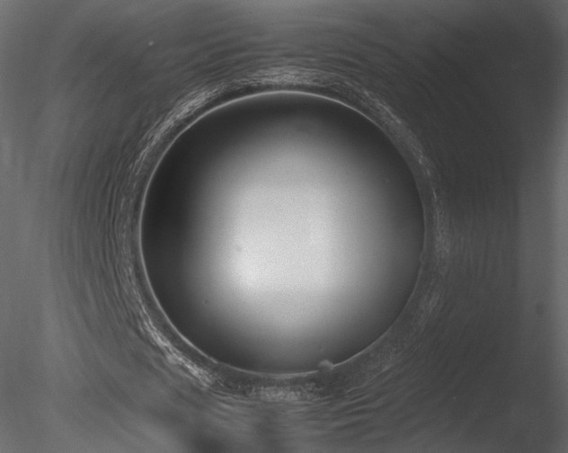 X0000085810625200703161156