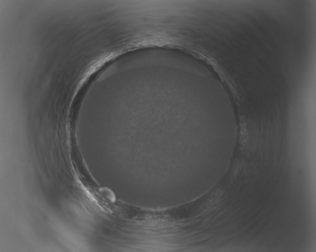 X0000085810626200703161156