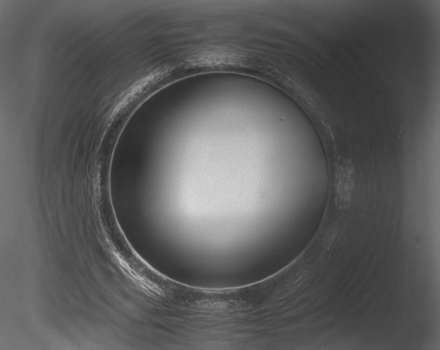 X0000085810629200703161156