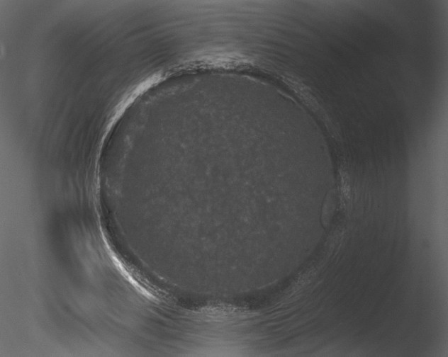 X0000085810630200703161156