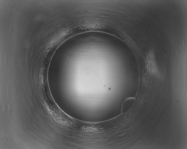 X0000085810635200703161156