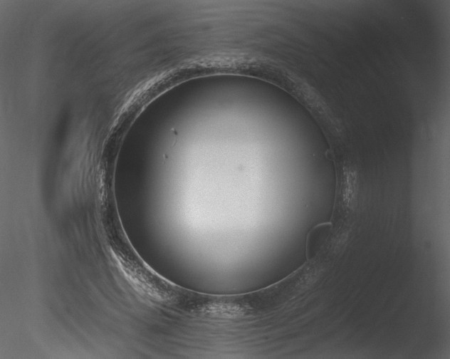 X0000085810636200703161156