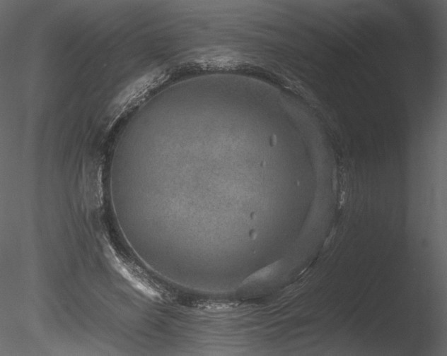 X0000085810638200703161156