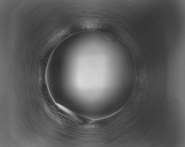 X0000085810639200703161156