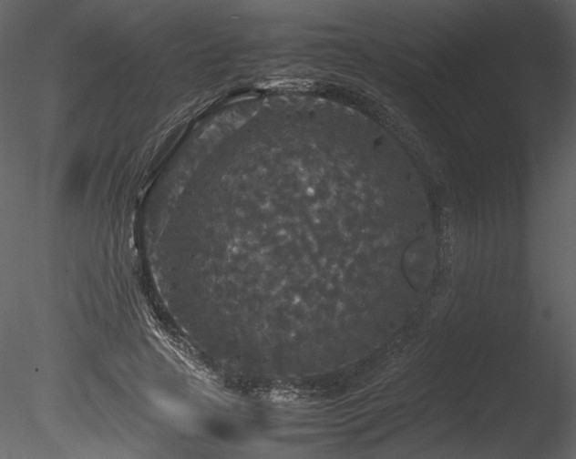 X0000085810641200703161156