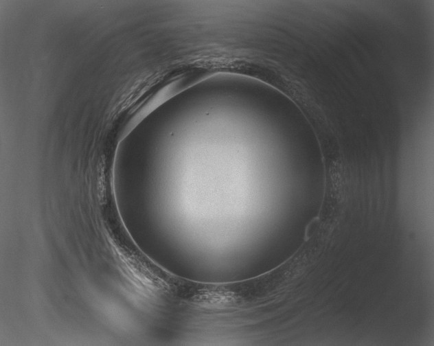 X0000085810642200703161156