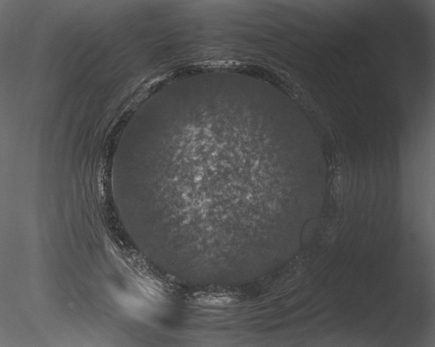 X0000085810643200703161156