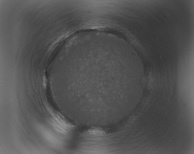 X0000085810644200703161156