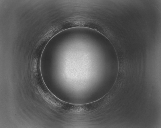 X0000085810646200703161156