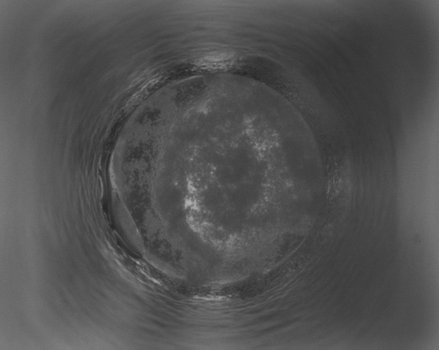 X0000085810647200703161156