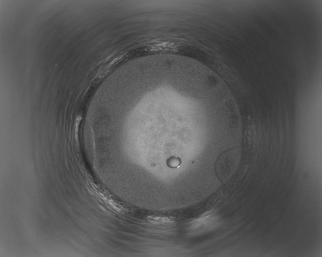 X0000085810649200703161156