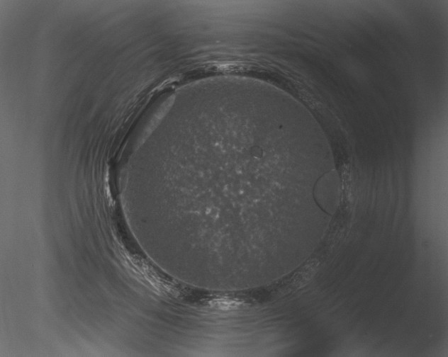 X0000085810650200703161156