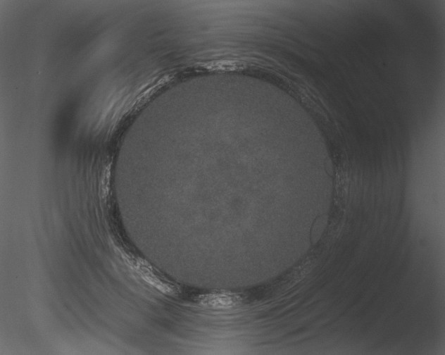 X0000085810652200703161156