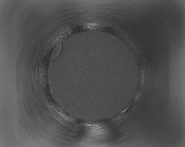 X0000085810653200703161157