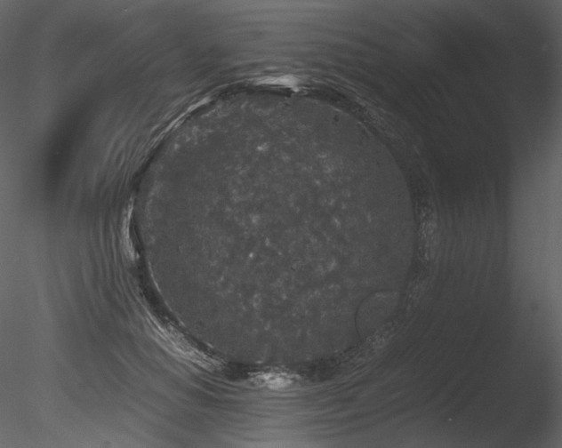 X0000085810654200703161157