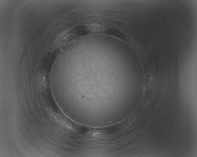 X0000085810655200703161157