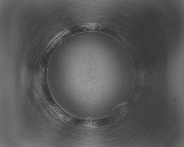 X0000085810656200703161157